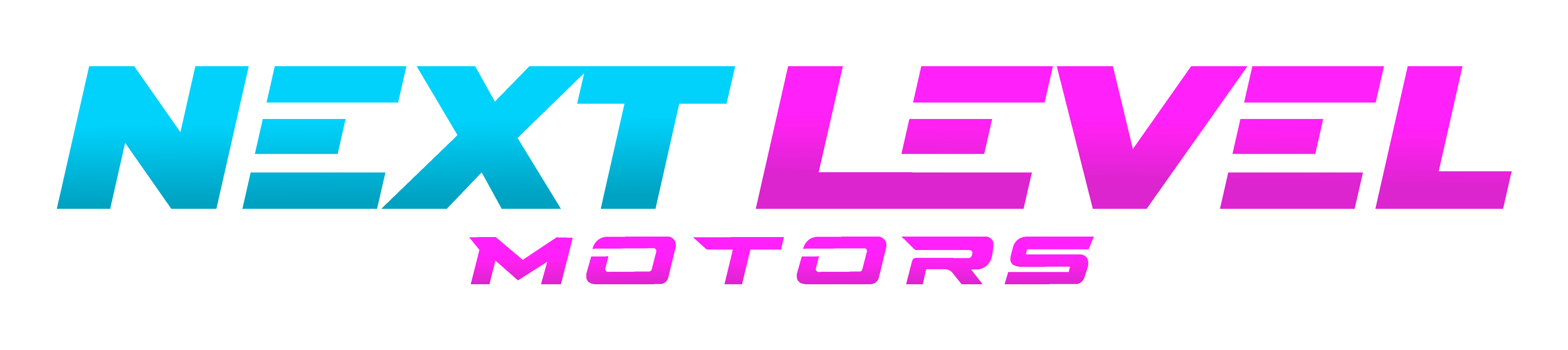 NEXT LEVEL MOTORS