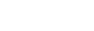 PADDOCK AUTOMOTIVE INC