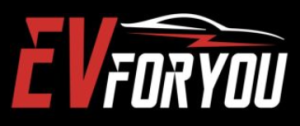 EVFORYOU INC