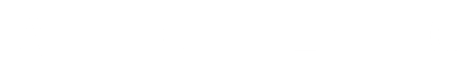 Auto Alley LLC
