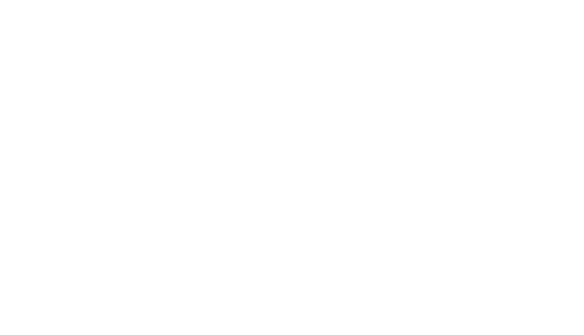 BMI Auto LLC