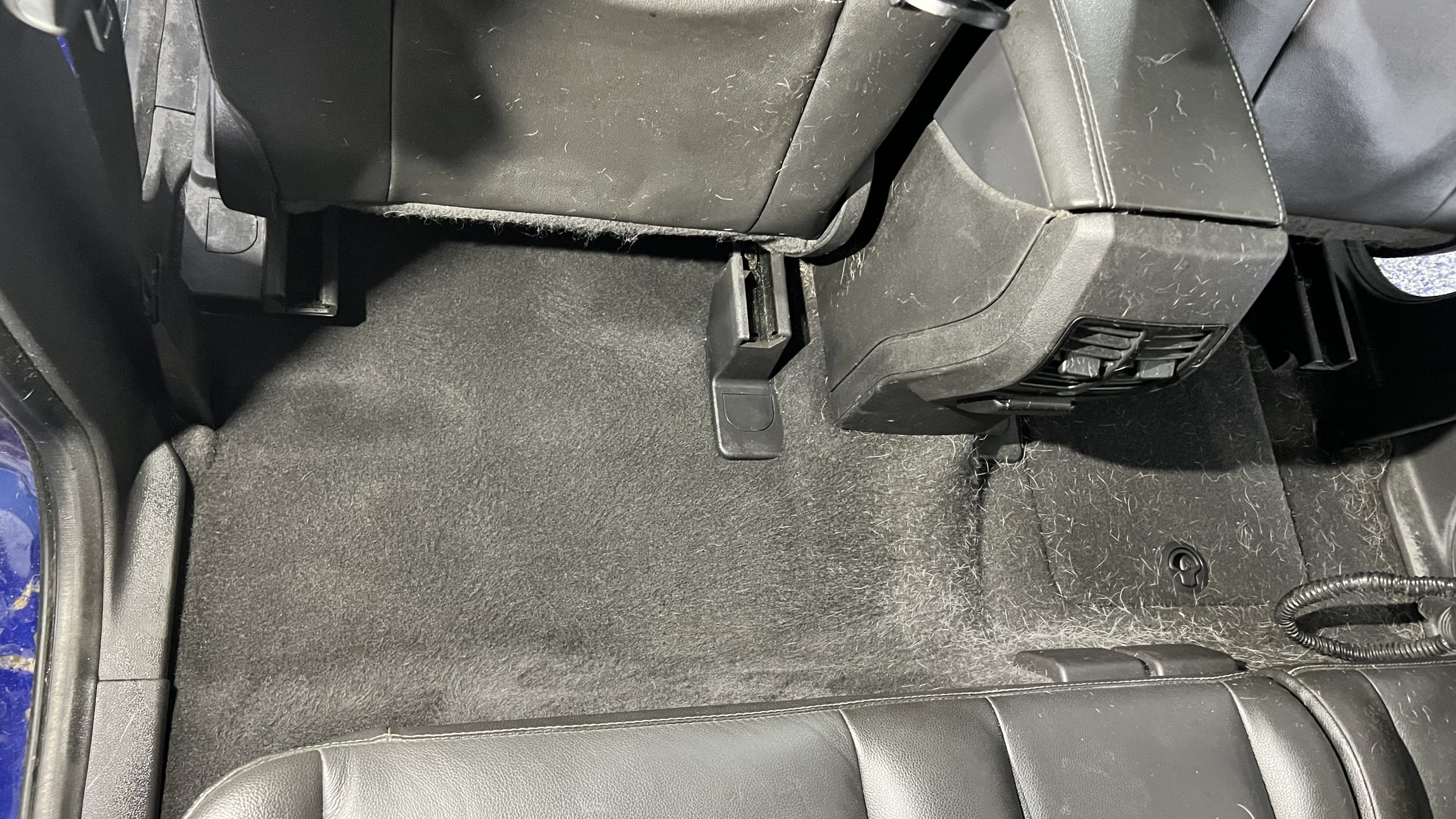 Pet hair removal from car interior and floor mats in Toledo OH and Point Place 43611 using carpet rake and drill brush