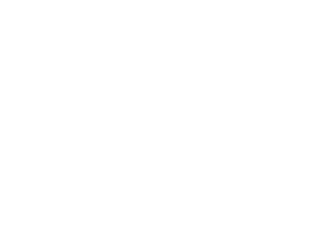 Auto Ash Inc