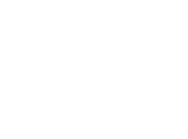 Auto Ash Inc