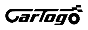 CarToGo LLC