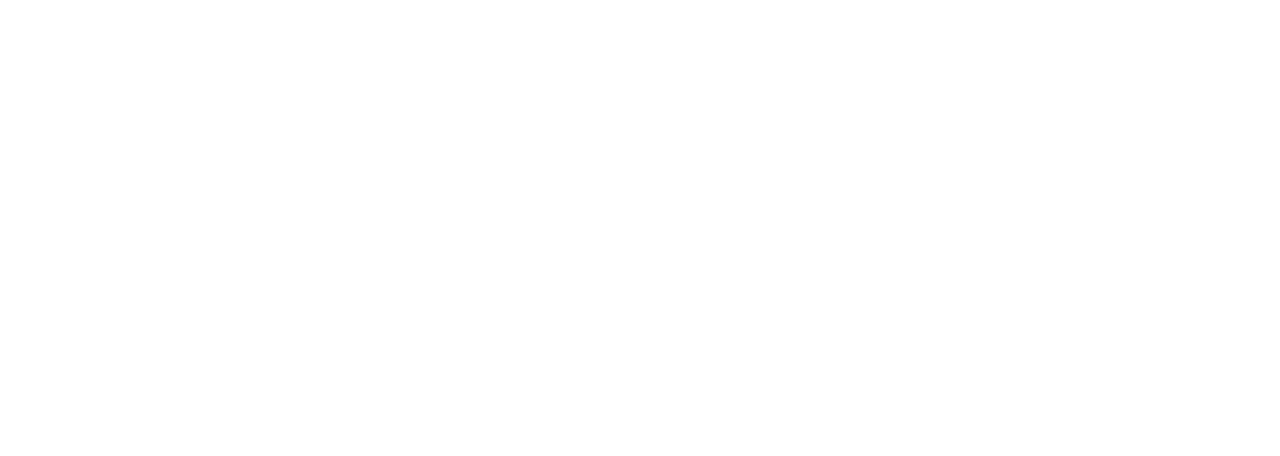 DM Auto Gallery