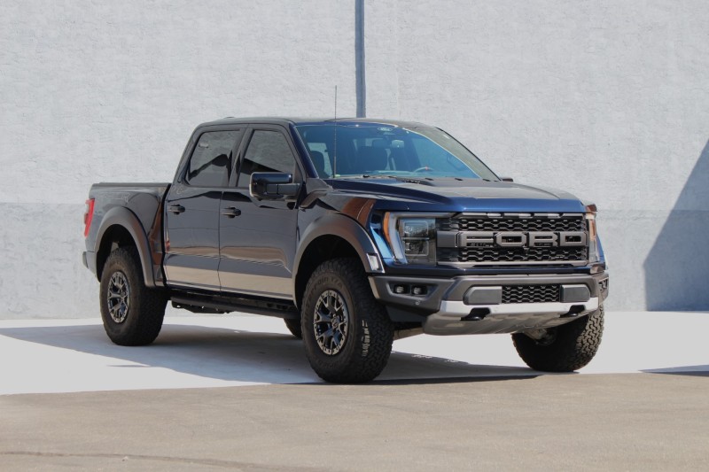Website Raptor (1)