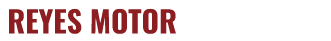 Reyes Motor Sports LLC