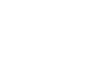 DRIVER SIDE AUTO