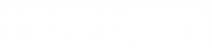 PHOENIX PLATINUM MOTORS LLC