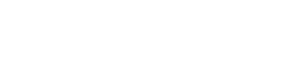 PHOENIX PLATINUM MOTORS LLC
