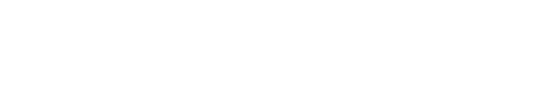 MONACO MOTORS LLC