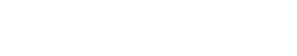 ROMA CARS AUTO-SALES CORP