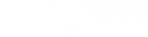 Caspian Motors