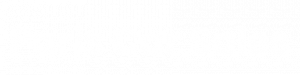 Paris Car Sales