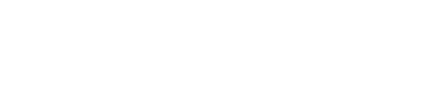Paris Car Sales
