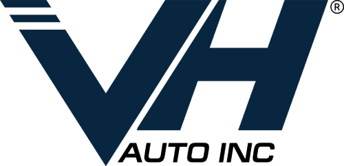 VH AUTO INC