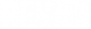 Rev Auto Sales