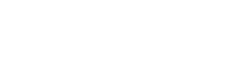 Rev Auto Sales