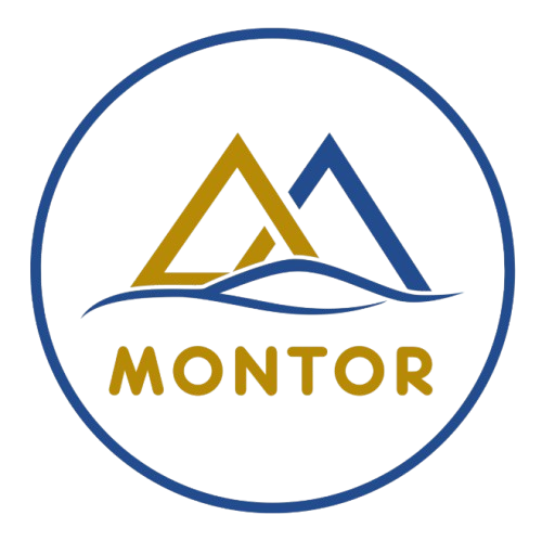 Montor LLC