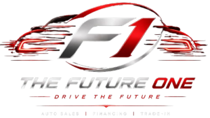 THE FUTURE ONE LLC