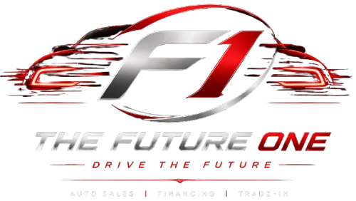 THE FUTURE ONE LLC