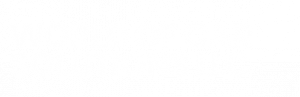 WORLD OF CAR SOLUTIONS LLC