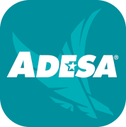 Logo 4