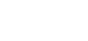 STARLINE MOTORS LLC