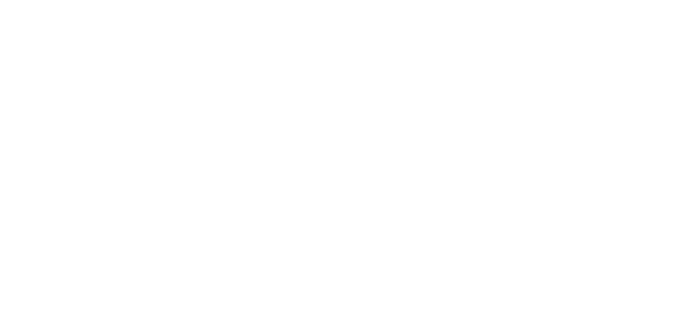 STARLINE MOTORS LLC