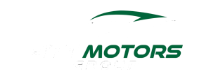 Pitt Motors Group LLC