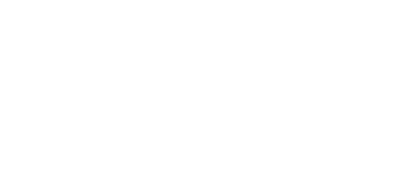 Auto Vision LLC