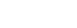 SHOPPY FAST CAR LLC