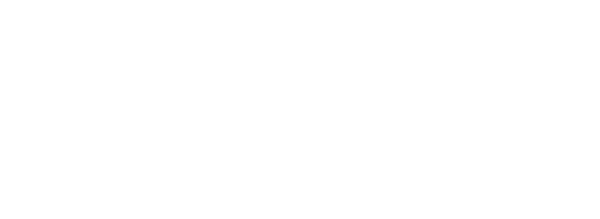 SHOPPY FAST CAR LLC