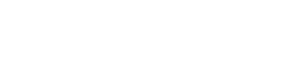 W1 Auto Group Inc
