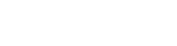 W1 Auto Group Inc