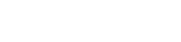 VKV AUTOS SALES LLC