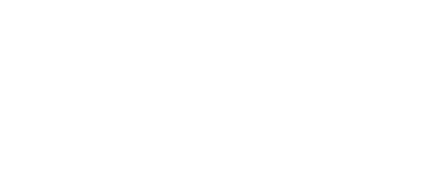 Ride Motors LLC