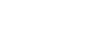 Go To Motors LLC