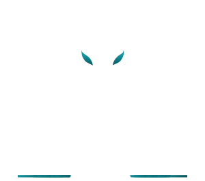 Dark Horse Auto LLC