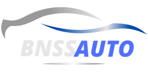 BNSS LLC