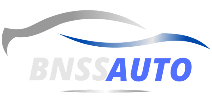 BNSS LLC