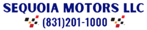 SEQUOIA MOTORS LLC