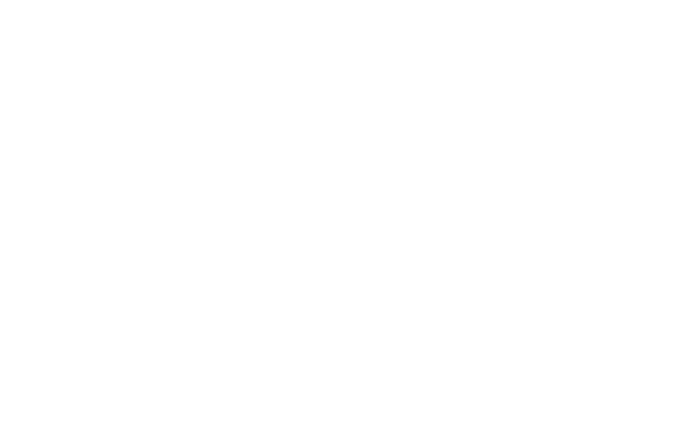 Marathon Auto Group LLC
