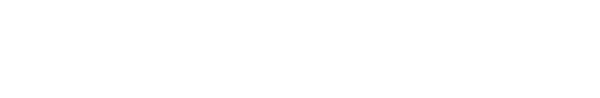 Flex Enterprise LLC