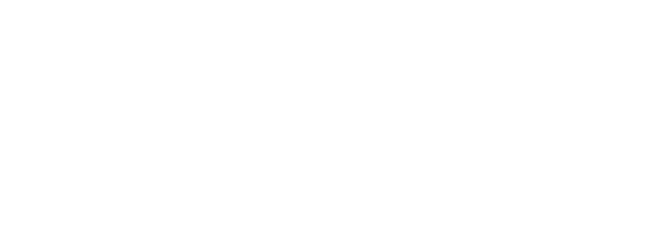 Reyan Auto Sales LLC