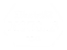 High Gear Motors LLC