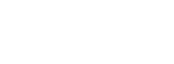 REVIVAL RIDES LLC