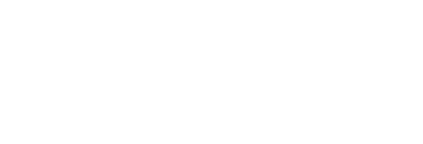 Tigris Automotive LLC