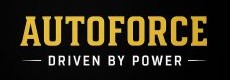 AUTO FORCE GROUP LLC